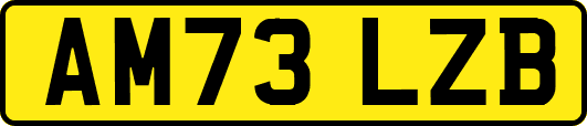 AM73LZB