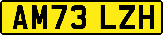 AM73LZH