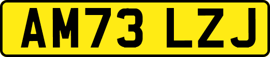 AM73LZJ