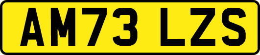 AM73LZS