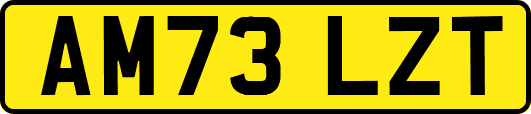 AM73LZT