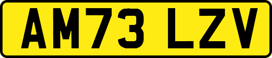 AM73LZV