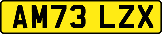 AM73LZX