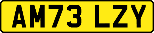 AM73LZY