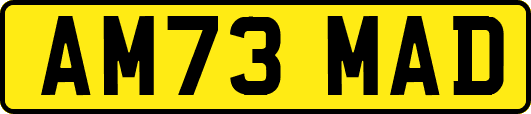 AM73MAD