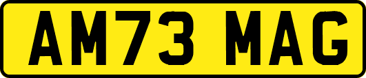 AM73MAG