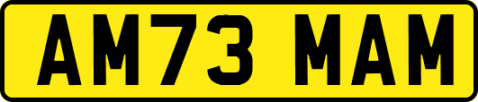 AM73MAM