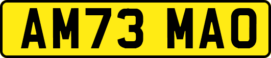 AM73MAO