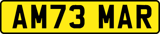 AM73MAR