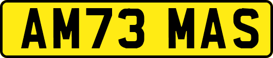 AM73MAS
