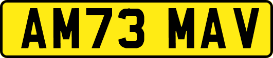 AM73MAV