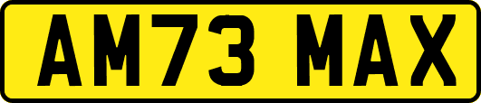 AM73MAX