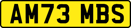AM73MBS