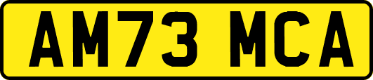 AM73MCA