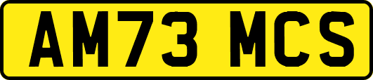 AM73MCS