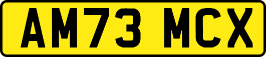 AM73MCX