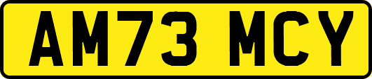 AM73MCY