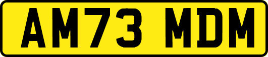 AM73MDM