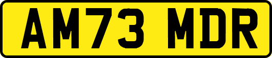 AM73MDR