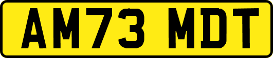 AM73MDT