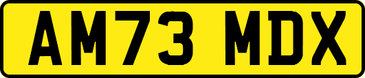 AM73MDX