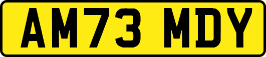 AM73MDY
