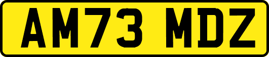 AM73MDZ