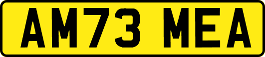 AM73MEA