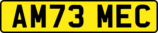 AM73MEC