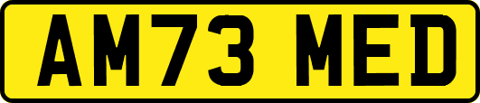 AM73MED
