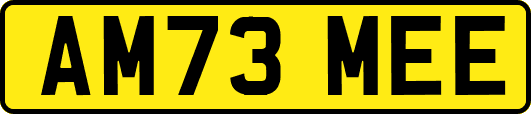 AM73MEE