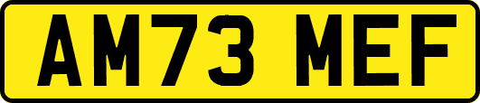 AM73MEF