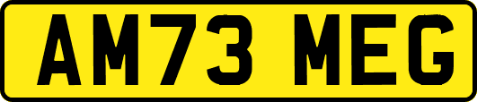 AM73MEG