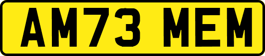 AM73MEM