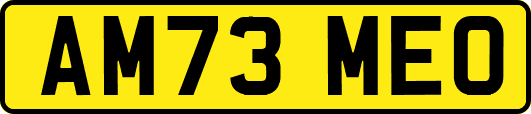 AM73MEO