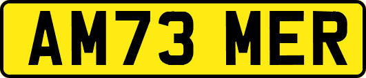 AM73MER