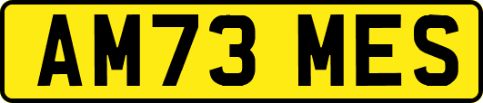 AM73MES
