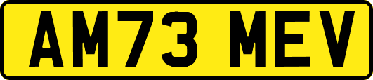 AM73MEV