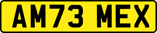 AM73MEX