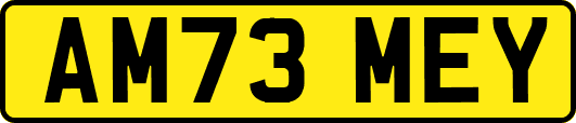 AM73MEY