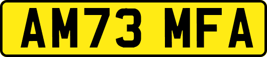AM73MFA