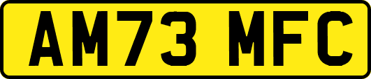 AM73MFC