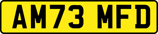 AM73MFD