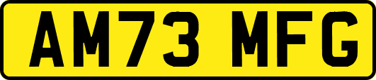 AM73MFG