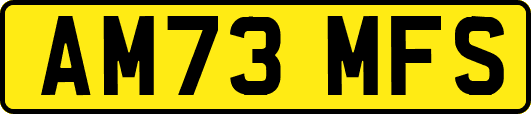 AM73MFS