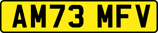 AM73MFV