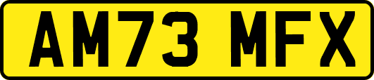 AM73MFX
