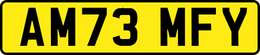 AM73MFY