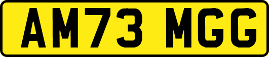 AM73MGG