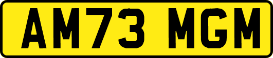 AM73MGM